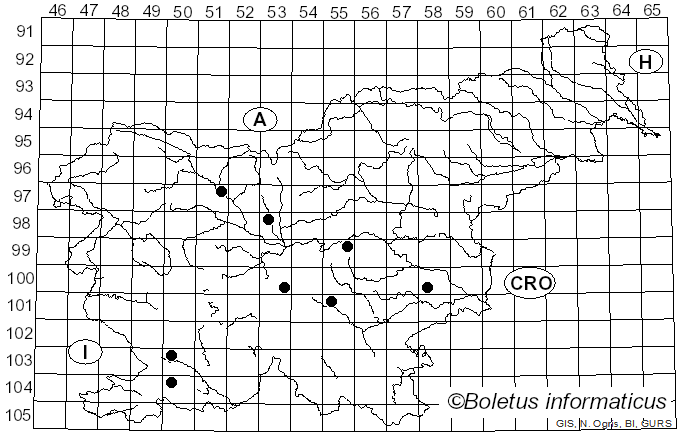 <i>Oligonema persimile</i> (P. Karst.) García-Cunch., J.C. Zamora & Lado (2022)
