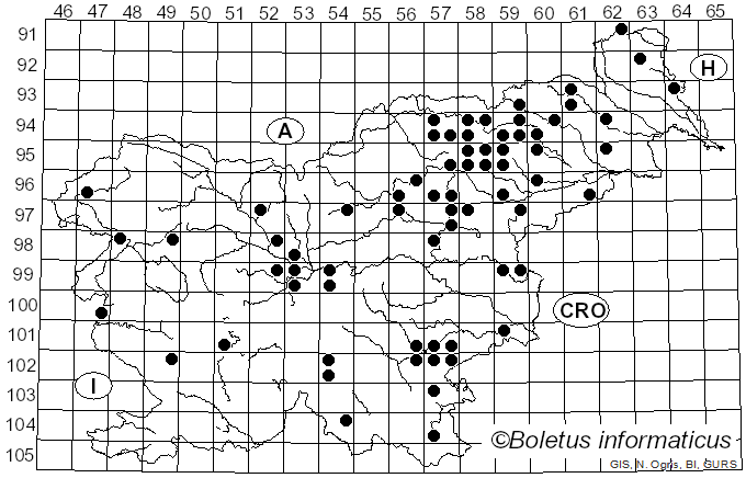 <i>Russula ionochlora</i> Romagn. (1952)