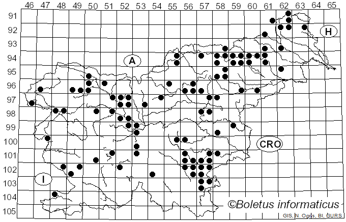<i>Otidea onotica</i> (Pers.) Fuckel (1869)