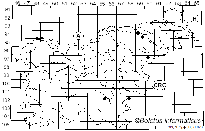 <i>Mutatoderma mutatum</i> (Peck) C.E. Gómez (1976)