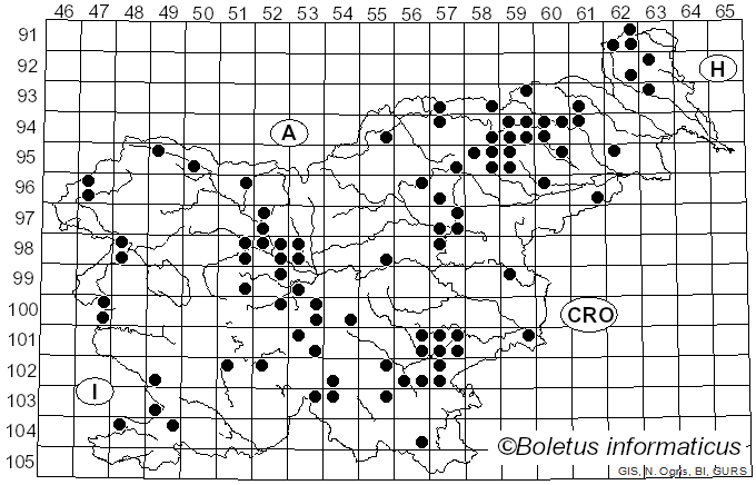 <i>Rhodocollybia prolixa</i> (Hornem.) Antonín & Noordel. (1997)
