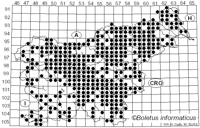 <i>Cantharellus</i> Adans. ex Fr. (1821)