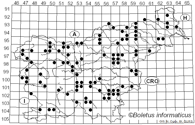 <i>Bolbitius titubans</i> (Bull.) Fr. (1838)