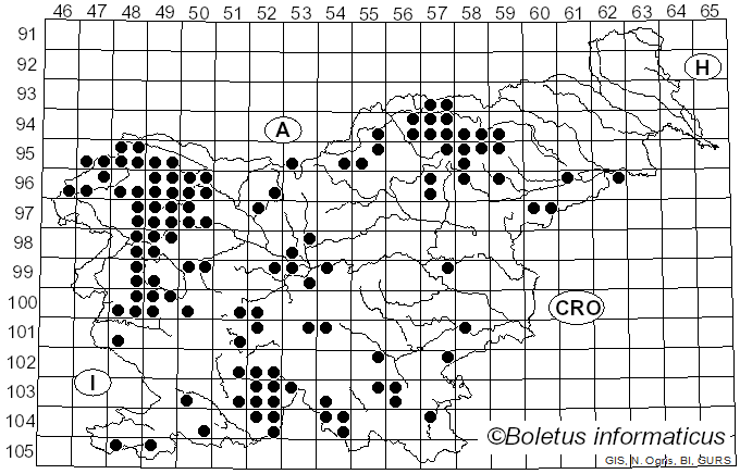 <i>Parmelia</i> Ach. (1803)