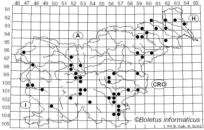 <i>Trametes trogii</i> Berk. (1850)