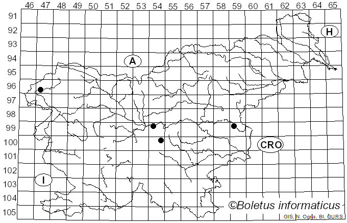 <i>Gliophorus perplexus</i> (A.H. Sm. & Hesler) Kovalenko (1989)