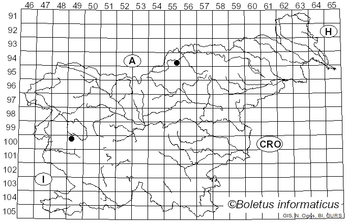 <i>Podosphaera fusca</i> (Fr.) U. Braun & Shishkoff (2000)