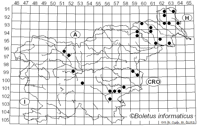 <i>Metuloidea fragrans</i> (A. David & Tortic) Miettinen (2016)