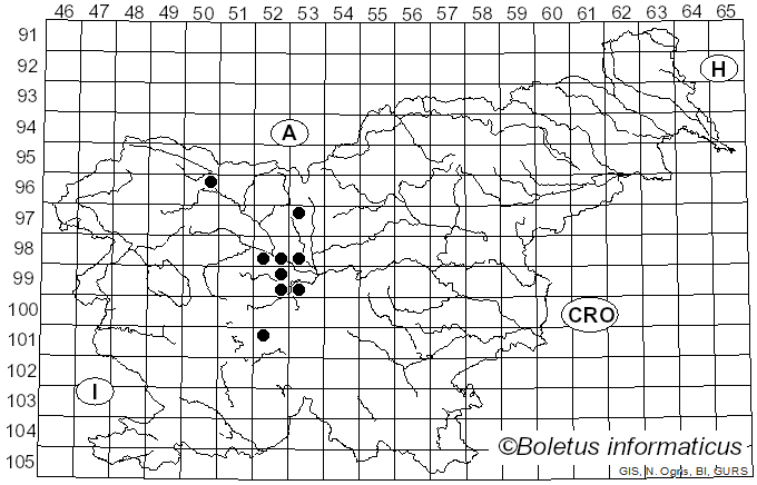 <i>Caeoma</i> Link (1809)