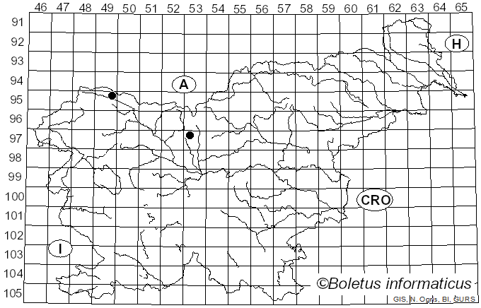 <i>Cercospora mercurialis</i> Pass. (1877)
