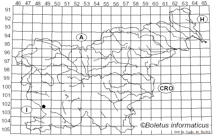 <i>Volvariella bombycina</i> var. <i>flaviceps</i> (Murrill) Shaffer (1957)
