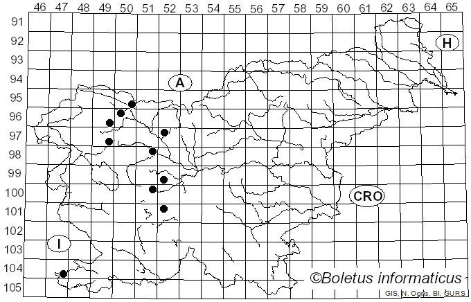 <i>Eupeodes corollae</i> Fabricius