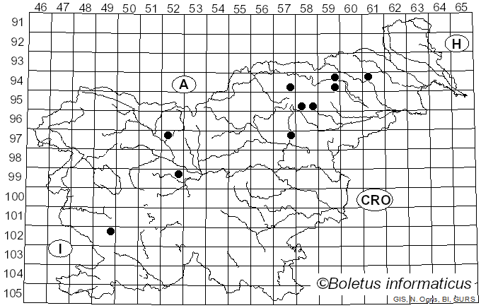 <i>Cortinarius tubarius</i> Ammirati & A.H. Sm. (1972)