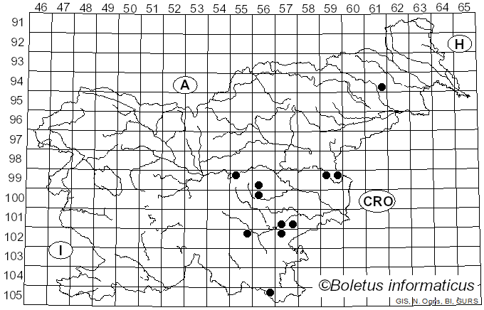 <i>Helicogloea</i> Pat. (1892)