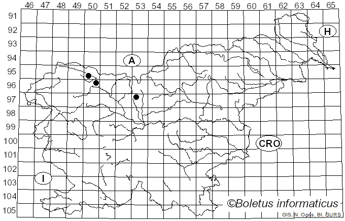 <i>Phloeospora oxyacanthae</i> (Kunze & J.C. Schmidt) Wallr. (1833)