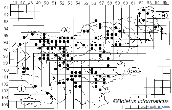 <i>Gomphus clavatus</i> (Pers.) Gray (1821)