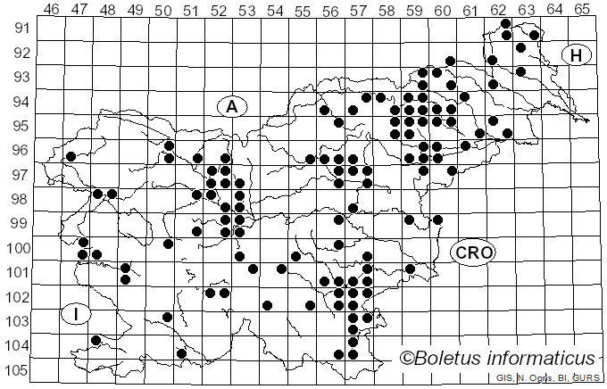 <i>Neofavolus alveolaris</i> (DC.) Sotome & T. Hatt. (2012)