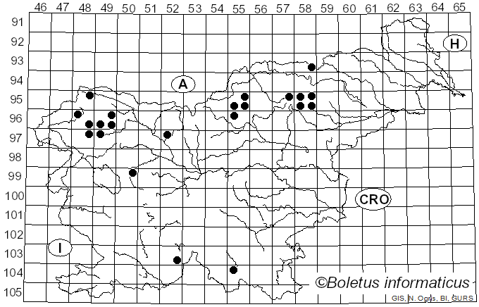 <i>Hypogymnia farinacea</i> Zopf (1907)