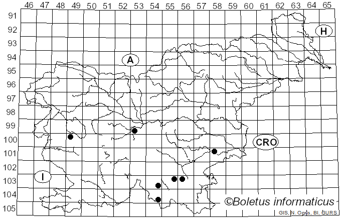 <i>Hyphoderma praetermissum</i> (P. Karst.) J. Erikss. & Å. Strid (1975)