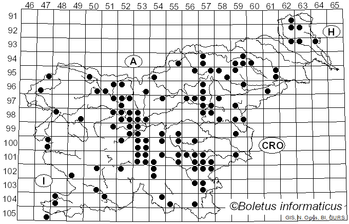 <i>Russula densifolia</i> Secr. ex Gillet (1874)