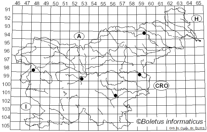 <i>Calvatia cyathiformis</i> (Bosc) Morgan (1890)