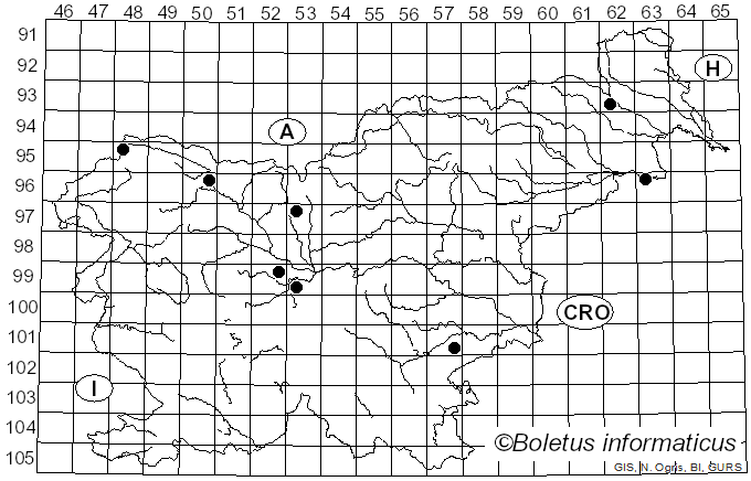 <i>Lophiostoma</i> Ces. & De Not. (1863)