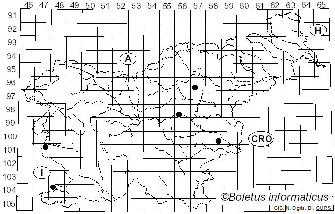 <i>Stigmella speciosa</i> Frey (1857)