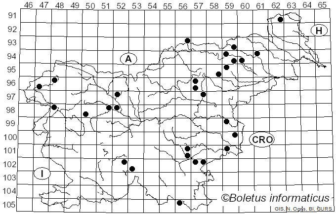 <i>Lycoperdon lividum</i> Pers. (1809)