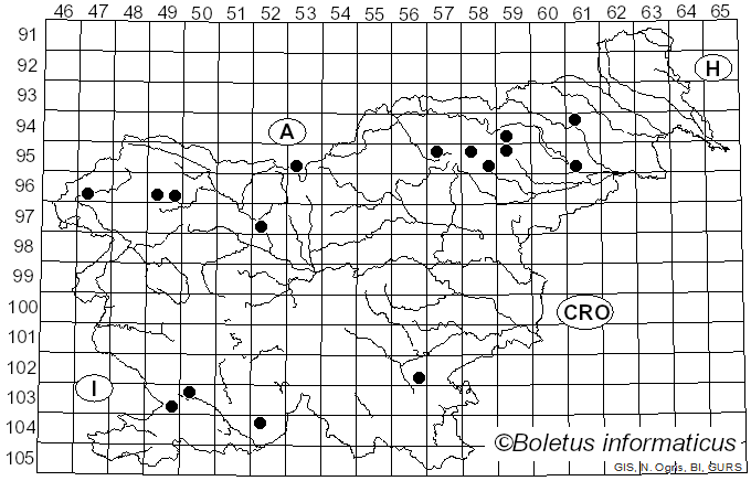<i>Leucocybe</i> Vizzini, P. Alvarado, G. Moreno & Consiglio (2015)