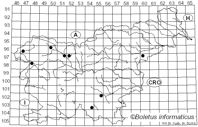 <i>Junghuhnia nitida</i> (Pers.) Ryvarden (1972)