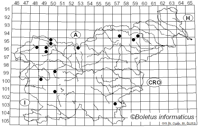 <i>Paragymnopus</i> J.S. Oliveira (2019)