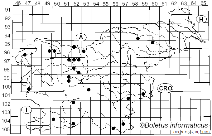 <i>Conocybe aporos</i> Kits van Wav. (1970)