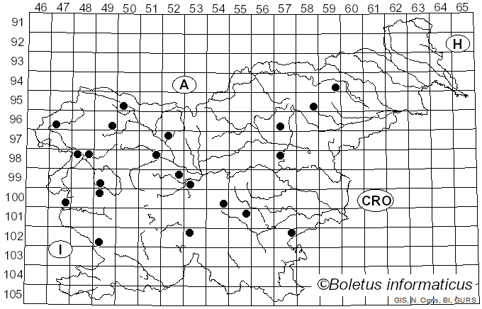 <i>Atractosporocybe inornata</i> (Sowerby) P. Alvarado, G. Moreno & Vizzini (2015)