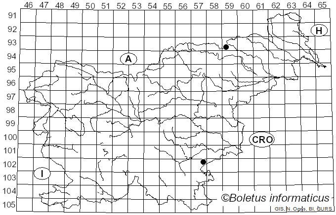 <i>Leccinum canumtomentosum</i> H. Engel (1978)