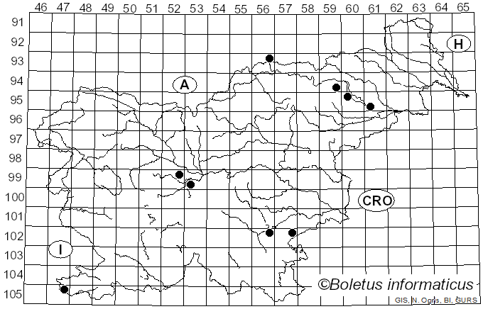 <i>Agaricus litoralis</i> (Wakef. & A. Pearson) Konrad & Maubl. (1952)