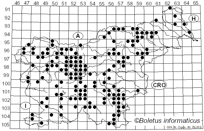 <i>Hygrophorus agathosmus</i> (Fr.) Fr. (1838)