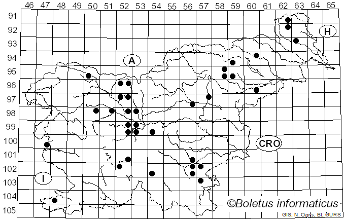 <i>Asterophora parasitica</i> (Bull.) Singer (1951)