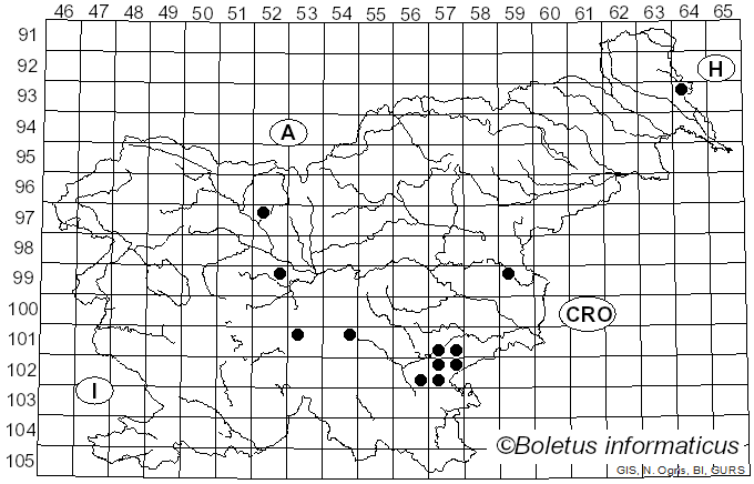 <i>Cortinarius biformis</i> Fr. (1838)