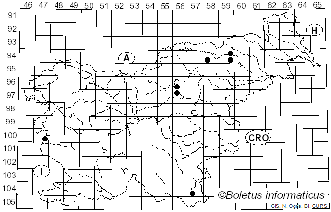 <i>Entoloma sordidulum</i> (Kühner & Romagn.) P.D. Orton (1960)
