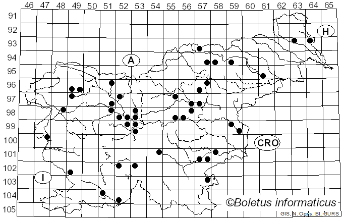 <i>Hygrocybe miniata</i> (Fr.) P. Kumm. (1871)