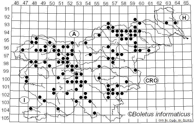 <i>Suillus viscidus</i> (L.) Fr. (1796)