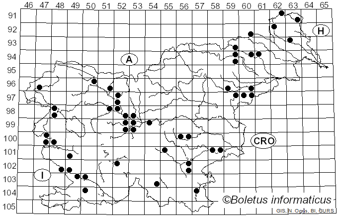 <i>Peniophora quercina</i> (Pers.) Cooke (1879)