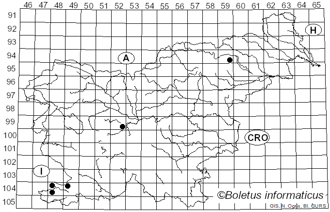 <i>Stigmella lemniscella</i> Zeller (1839)