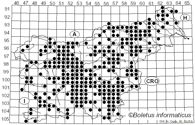 <i>Clitopilus prunulus</i> (Scop.) Fr. (1871)