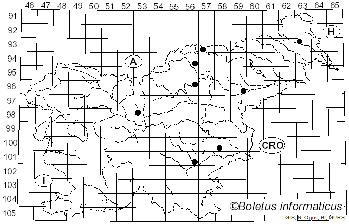 <i>Guignardia aesculi</i> (Peck) V.B. Stewart (1916)