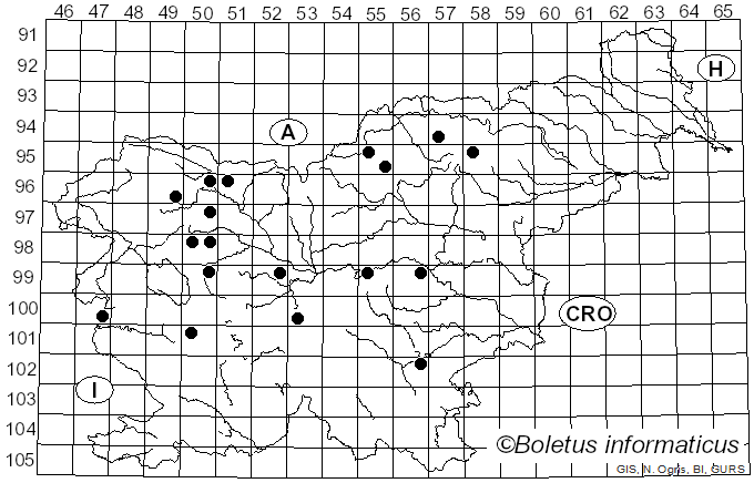 <i>Ombrophila</i> Fr. (1849)