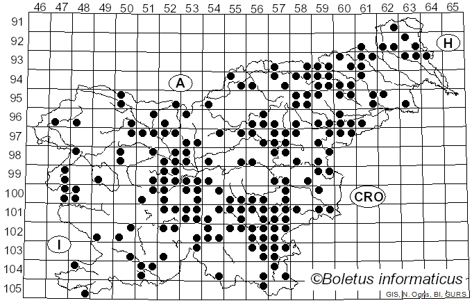 <i>Butyriboletus appendiculatus</i> (Schaeff.) D. Arora & J.L. Frank (2014)