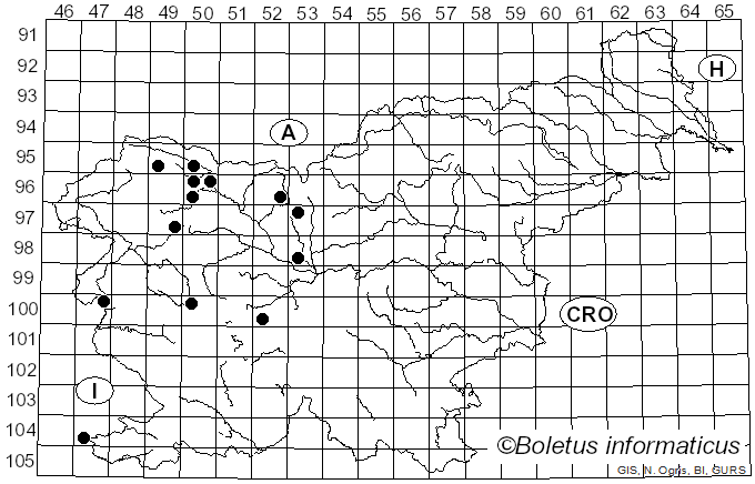 <i>Uredo</i> Pers. (1801)