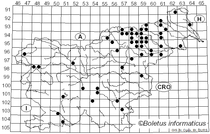<i>Xerocomellus porosporus</i> (Imler ex Watling) Šutara (2008)