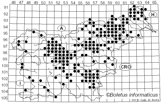 <i>Sparassis crispa</i> (Wulfen) Fr. (1821)